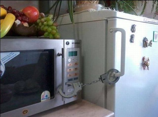 Daily Picdump
