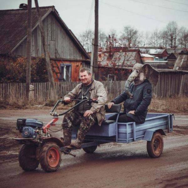 Daily Picdump