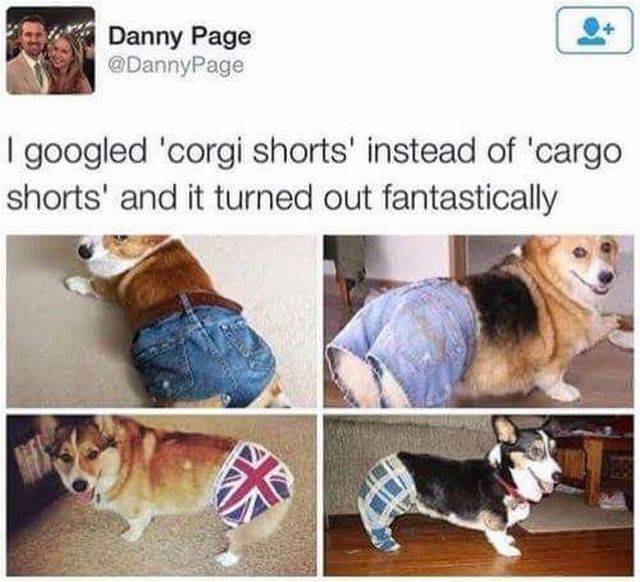 Daily Picdump