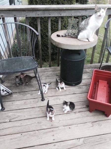 Daily Picdump