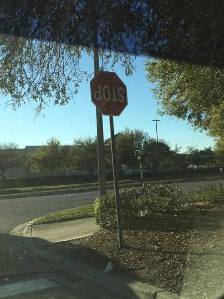 daily picdump 95 pics 36.html - 95 HD Photos | Premium Gallery 2017