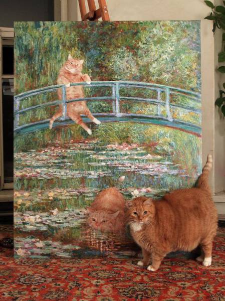 daily picdump 95 pics 36.html - 95 HD Photos | Premium Gallery 2017