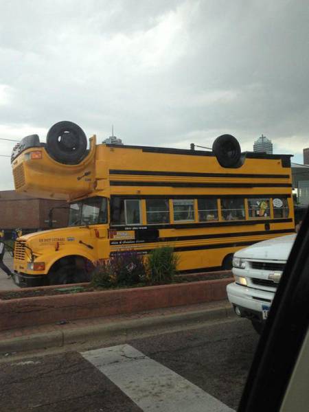 daily picdump 95 pics 36.html - 95 HD Photos | Premium Gallery 2017