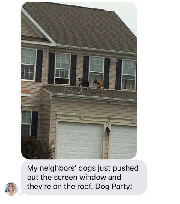 daily picdump 95 pics 36.html - 95 HD Photos | Premium Gallery 2017