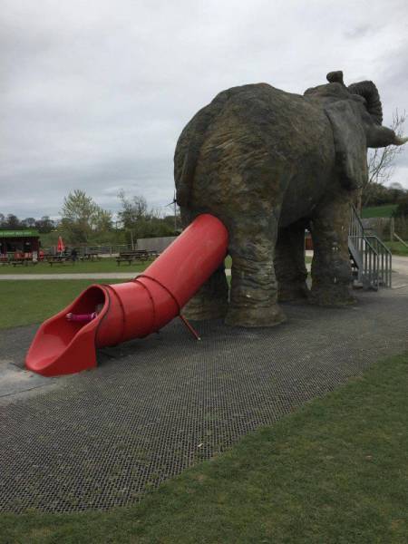 daily picdump 95 pics 16.html - 95 HD Photos | Premium Gallery 2017