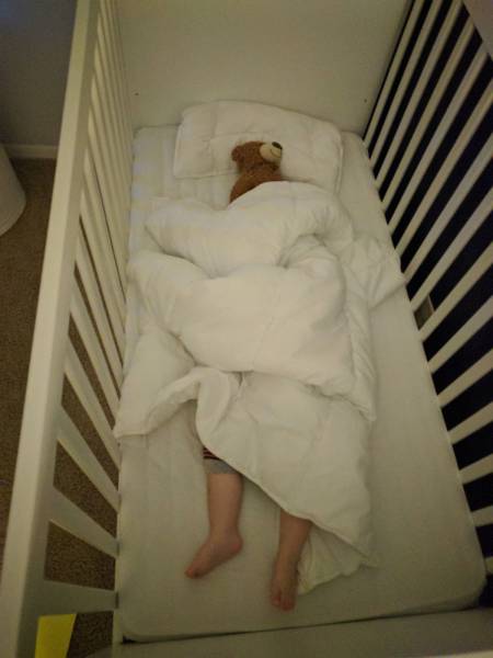 Daily Picdump