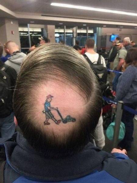 Daily Picdump