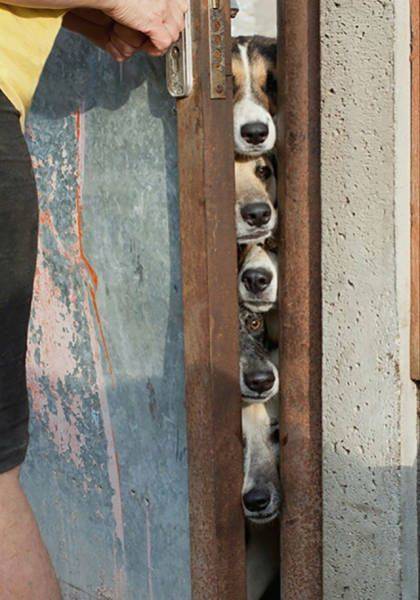 Daily Picdump