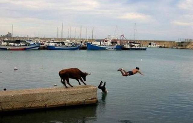 Daily Picdump