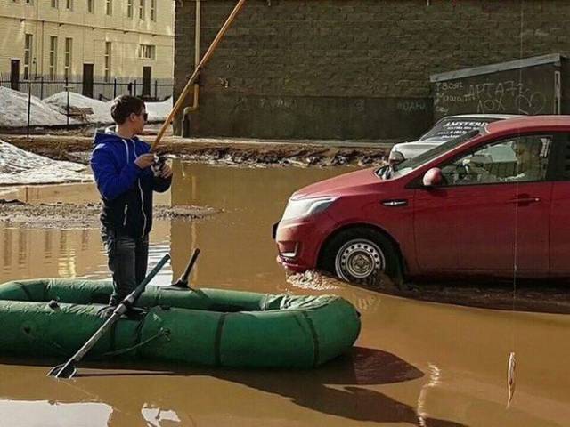 Daily Picdump