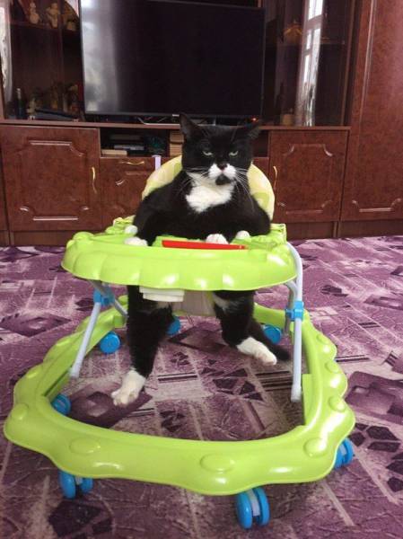 Daily Picdump