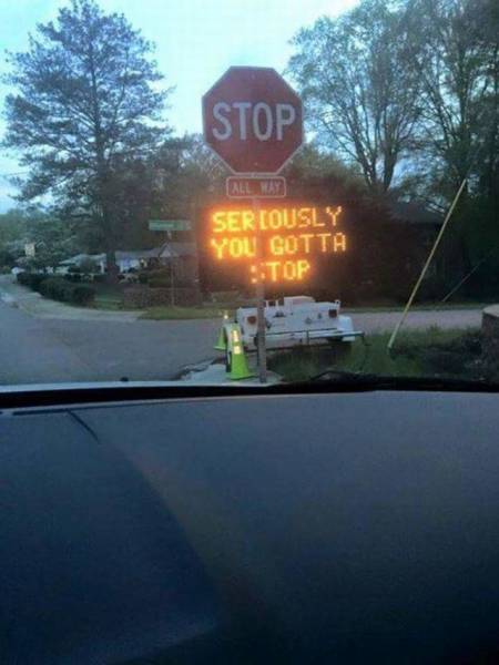 Daily Picdump