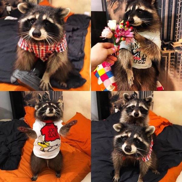 daily picdump 95 pics 16.html - 95 HD Photos | Premium Gallery 2017