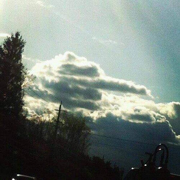 daily picdump 95 pics 16.html - 95 HD Photos | Premium Gallery 2017