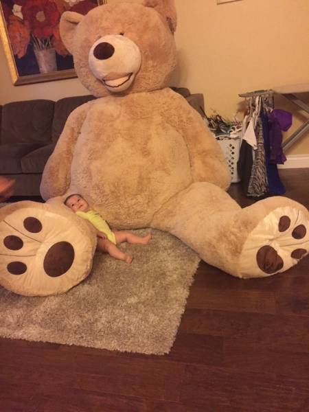 daily picdump 95 pics 16.html - 95 HD Photos | Premium Gallery 2017