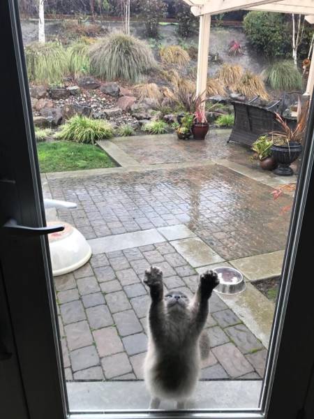 daily picdump 95 pics 16.html - 95 HD Photos | Premium Gallery 2017