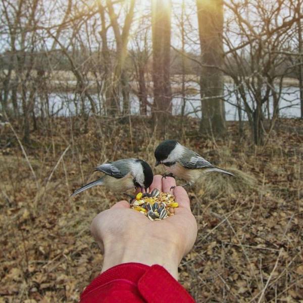 daily picdump 95 pics 16.html - 95 HD Photos | Premium Gallery 2017