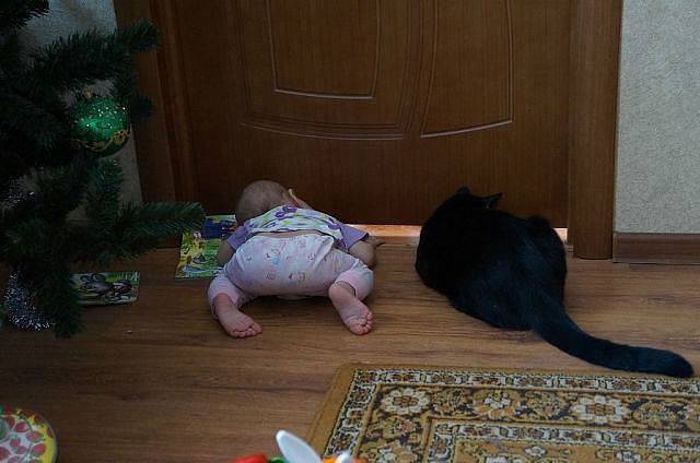 daily picdump 95 pics 16.html - 95 HD Photos | Premium Gallery 2017
