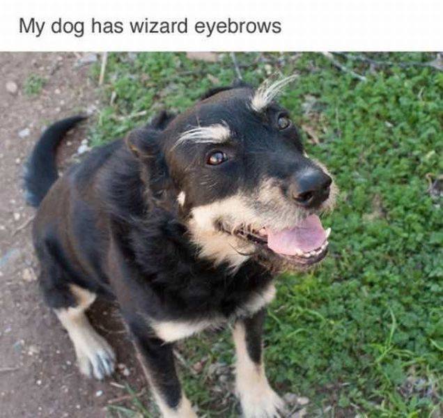 daily picdump 95 pics 16.html - 95 HD Photos | Premium Gallery 2017