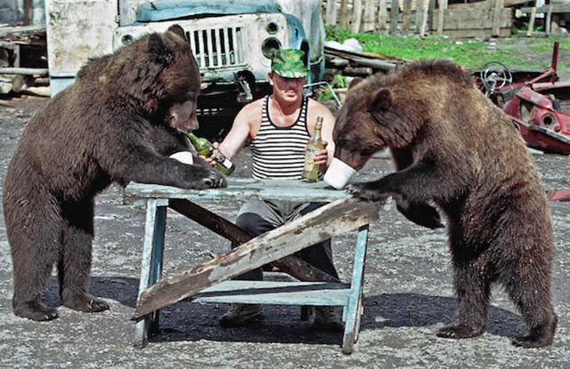 Morning Picdump