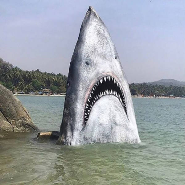 morning picdump 51 pics 15.html - 51 HD Photos | Premium Gallery 2017