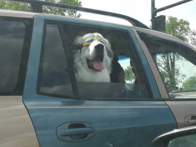Daily Picdump