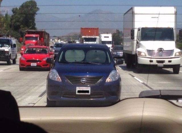 daily picdump 102 pics 2.html - 102 HD Photos | Premium Gallery 2017