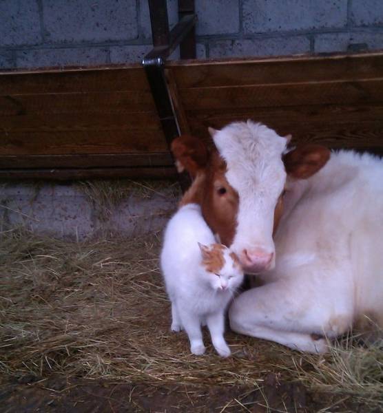 Daily Picdump