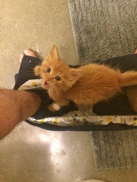 Daily Picdump
