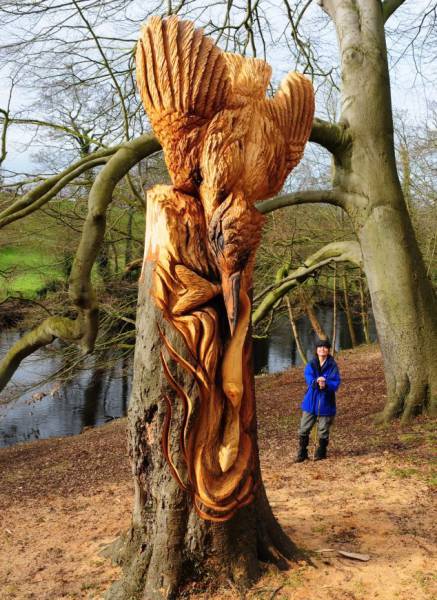 daily picdump 102 pics 2.html - 102 HD Photos | Premium Gallery 2017