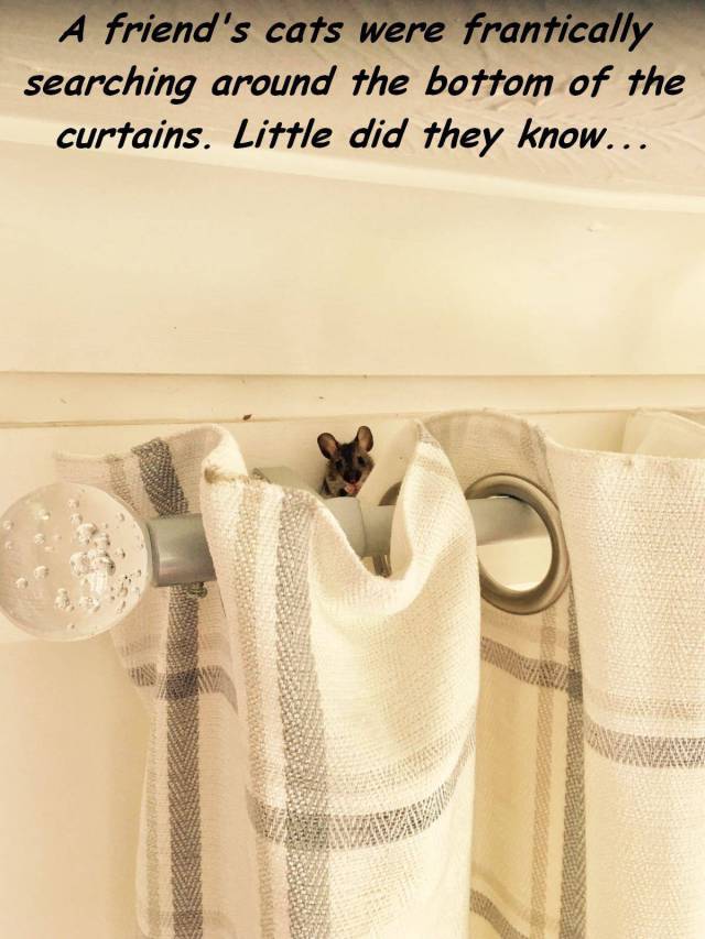 daily picdump 102 pics 2.html - 102 HD Photos | Premium Gallery 2017