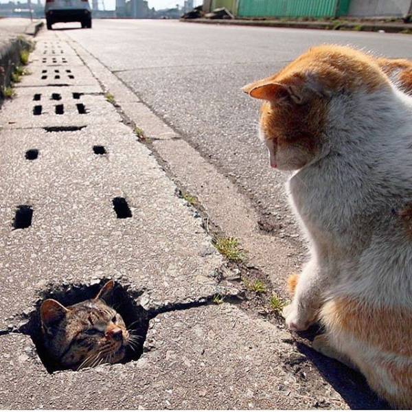 Morning Picdump