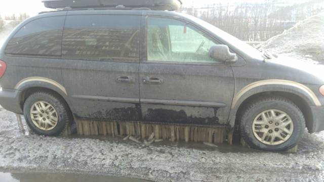 Morning Picdump