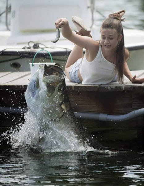 morning picdump 50 pics 15.html - 50 HD Photos | Premium Gallery 2017
