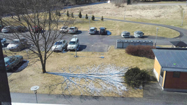 Morning Picdump