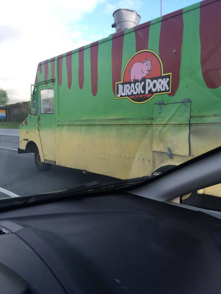Morning Picdump