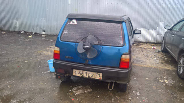Morning Picdump