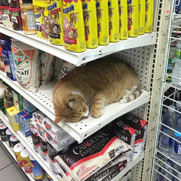 morning picdump 50 pics 14.html - 50 HD Photos | Premium Gallery 2017