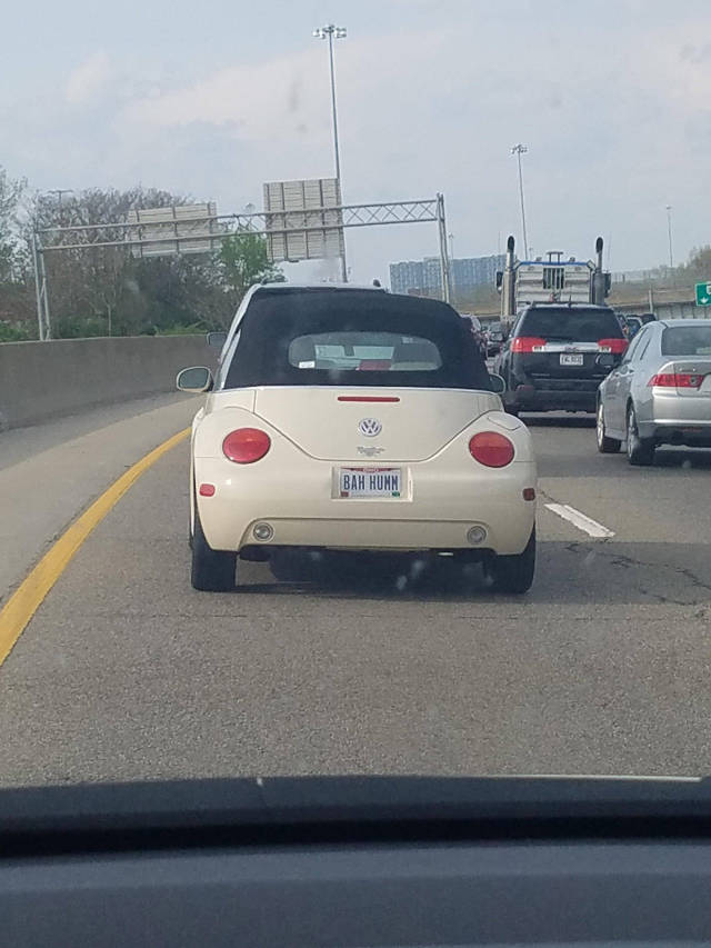 morning picdump 50 pics 14.html - 50 HD Photos | Premium Gallery 2017