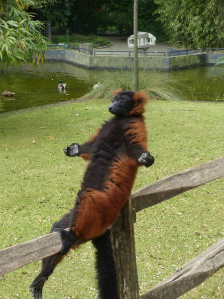 Relax As Hard As You Can