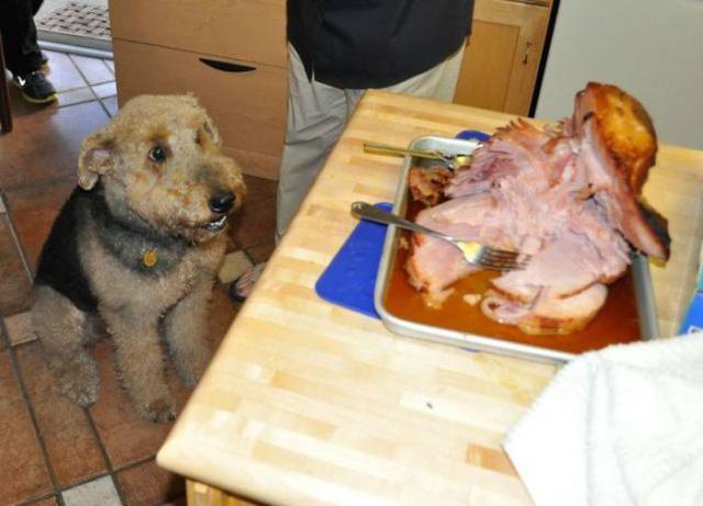 Daily Picdump