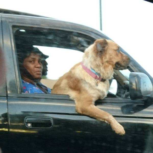 Daily Picdump