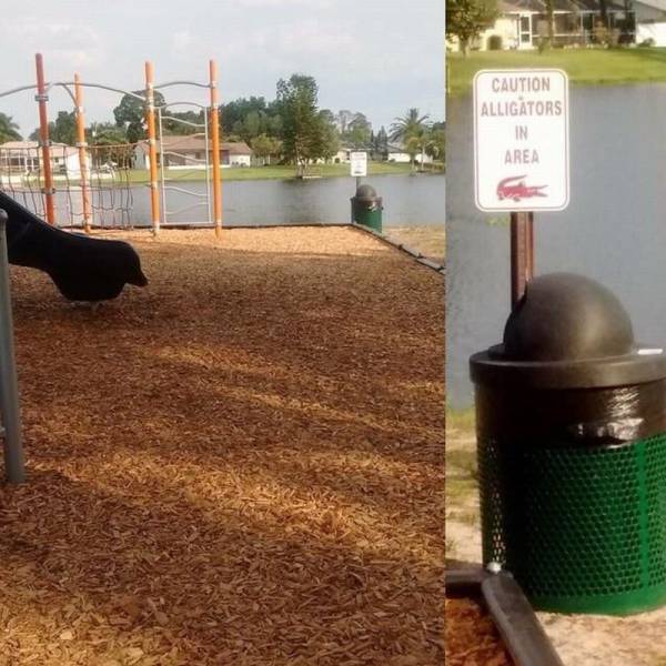 daily picdump 97 pics 22.html - 97 HD Photos | Premium Gallery 2017