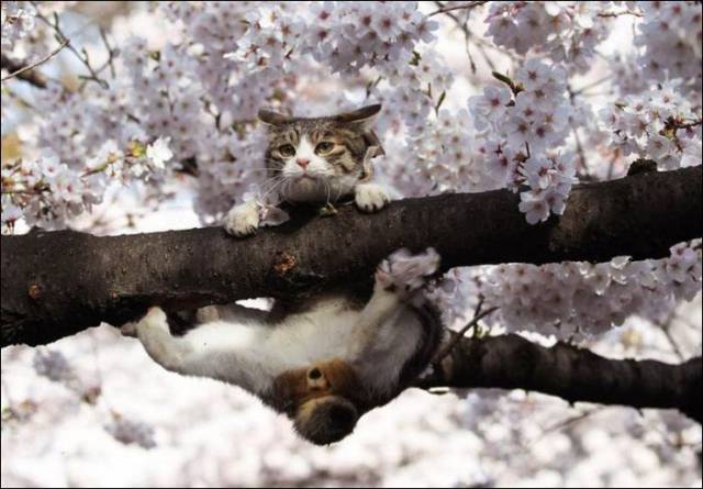 daily picdump 97 pics 22.html - 97 HD Photos | Premium Gallery 2017