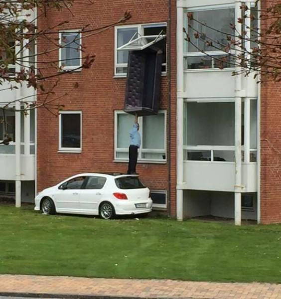 daily picdump weekend edition 51 pics 21.html - 51 HD Photos | Premium Gallery 2017