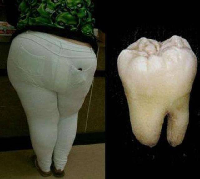 daily picdump weekend edition 51 pics 21.html - 51 HD Photos | Premium Gallery 2017