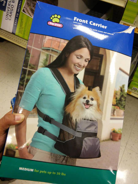 morning picdump 53 pics 16.html - 53 HD Photos | Premium Gallery 2017