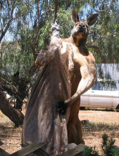 Daily Picdump
