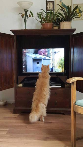 Daily Picdump