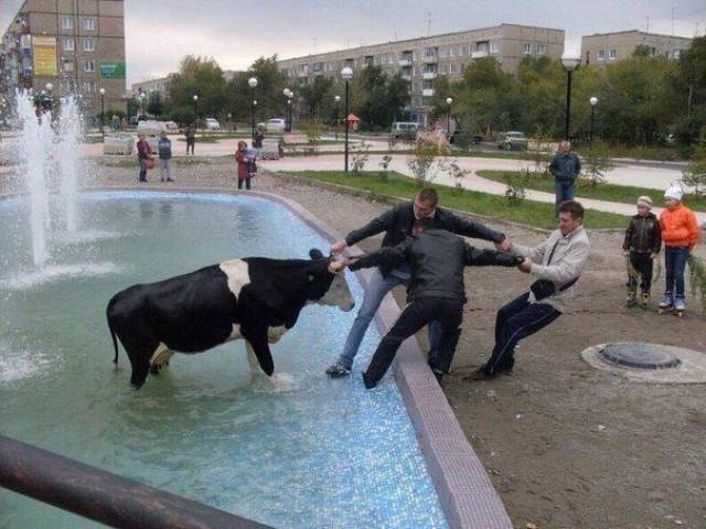 daily picdump 106 pics 2.html - 106 HD Photos | Premium Gallery 2017